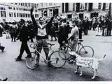Aldo Bonasia, Cane apolitico contro il referendum sul divorzio 1974, 1949, vintage gelatin-silver print on baryta paper