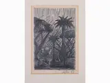 Salvo, Landscape