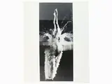 George Silk, Splashing Dive, 1952, 1916, gelatin silver print on baryta paper