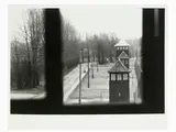 Mario Dondero, Birkenau Polonia 1980 circa, 1928, vintage gelatin silver print on resin coated paper