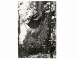 Pepi Merisio, Caccia 1975, vintage gelatin silver print on glossy baryta paper