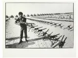 Roberto Koch, Guerriglieri del Fronte Polisario Sahara Occidentale 1982, vintage gelatin silver print on baryta paper