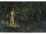 Pietro Senno, Woods