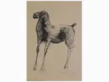 Horse by Marino Marini, 1901, lithograph, offered Nov 2018