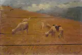 Carlo Passigli, Gregge al pascolo