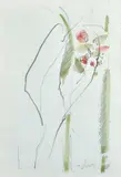 Gastone Breddo, Rose