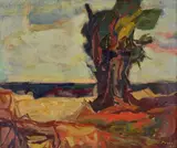 Epifanio Pozzato, Vecchio albero in riva al mare, 1965