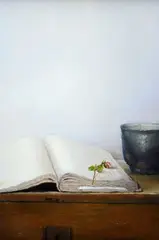 The flower by Luigi Doni, On the reverse: signature and title. Authentication of the author on photo., offered Nov 2022
