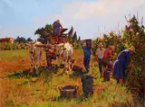Angiolo Volpe, La vendemmia