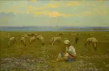 Carlo Passigli, Ragazza a Campo di Marte