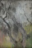Giuseppe Casciaro, Trees