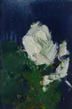 Saverio Barbaro, White Rose, 1960, On the reverse: signature