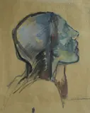 Ludolf Verworner, Male profile