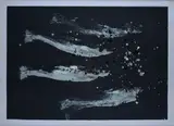 Massimo Barzagli, Fish