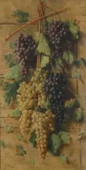 Giovanni Sandrucci, Still Life with Grapes, Sign at the bottom to the left.