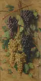 Giovanni Sandrucci, Still Life with Grapes, Sign at the bottom to the left.