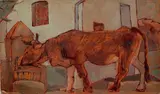 Giovanni March, Ox