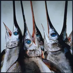 Mimmo Jodice, Swordfish, Photographic print
