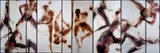 Andrea Pacanowski, Men, 2008, The work is divided into nine signed and numbered panels on the reverse. Certificate of authenticity signed by