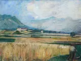 Arturo Tosi, The harvest