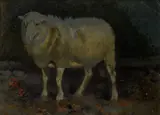 Stefano Bruzzi, Sheep