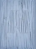 Umberto Mariani, The hidden form: N