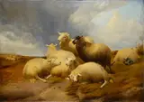 Thomas Sidney Cooper, Flock