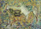 Silvio Loffredo, Horse