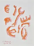 Carla Accardi, Forme