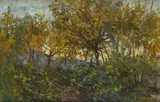 Luigi Gioli, Trees, Signature lower right.