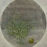 Gioxe De Micheli, Eucaliptos nell'ovale, 1981