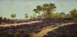 Henry Marko', Pineta sul mare