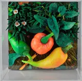 Piero Gilardi, Early peppers