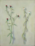 Fiorenzo Tomea, Flowers