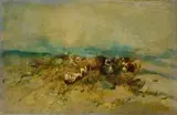 Tito Pellicciotti, Wild boar hunting
