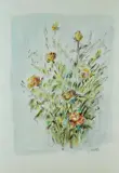 Domenico Purificato, Rose
