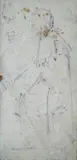 Francesco Vinea, Studio di figura