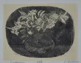 Luigi Bartolini, Jasmine