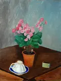 Guido Peyron, Still life with plant and cup