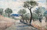 Vincenzo Ciardo, Country road