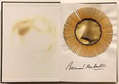 Fire and red by Bernard Aubertin, Author authentication on photo., offered Sep 2021