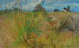 Mario Puccini, The rushes