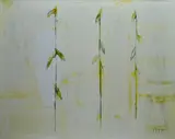 Piero Pizzi Cannella, I fiori secchi
