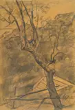 Enrico Sacchetti, Albero