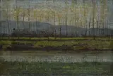 Raffaello Sernesi, L' Arno alle Cascine, Sul verso