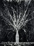 Joaquìn Falco, Coca Cola Explosiva, 2002, Signature and date lower left. On the reverse: signature