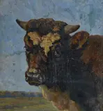 August Kaufhold, Ox head, Signature lower right.