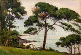 Giovanni Colmo, Landscape with trees, Sign at the bottom to the left.