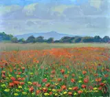 Giorgio Luxardo, Field of poppies, Signature lower right. On the reverse: signature and title
