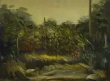 Vegetation by Pietro Annigoni, Sign at the bottom to the left. Authentication of the author on photo., offered Mar 2021